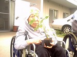 この苗を植えるよ。何の苗？