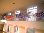 総合南東北福祉センターの鯉のぼり