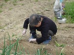 園芸活動.jpg