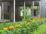 総合南東北福祉センター玄関前のマリーゴールド