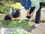 南東北日和田デイサービスセンターの園芸活動