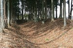 革籠原（かわごはら）の防塁跡kawagohara.jpg