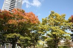 福島城跡（福島県庁前）68