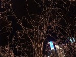 SENDAI PAGEANT OF STARLIGHT
