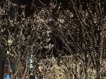 SENDAI PAGEANT OF STARLIGHT