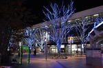 ビッグツリーページェント・フェスタ　IN　KORIYAMA　イルミネーション