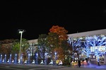 ビッグツリーページェント・フェスタ　IN　KORIYAMA　イルミネーション