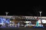 ビッグツリーページェント・フェスタ　IN　KORIYAMA