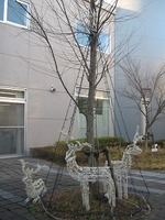 点灯前のイルミネーション