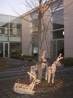 イルミネーション