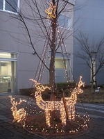 イルミネーション