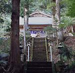 隠津島神社社叢(おきつしまじんじゃしゃそう)74
