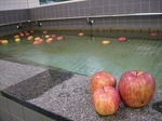 リンゴ風呂