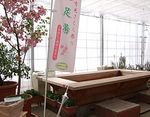 足湯　Footbath