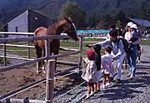 郡山石筵ふれあい牧場