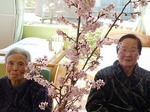 さくら　春が来た