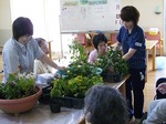 8月の園芸活動