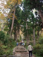 戸隠神社　奥社参道