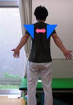 肩こりの原因と解消体操　3　胸を張るように　背中