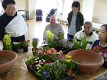 春が来た