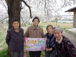 お花見ドライブツアー　藤田川の桜並木