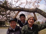 桜　お花見ツアー