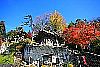 福満虚空蔵尊の紅葉