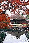 御薬園の紅葉