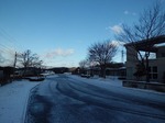 12月17日　冬景色