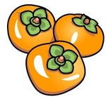 柿　Persimmon