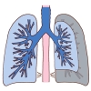 気胸　Pneumothorax