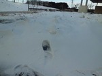 雪に埋もれた放射線量測定場所