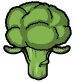 ブロッコリー　Broccoli