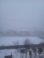 2012年3月1日　朝の風景