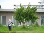 草刈風景のサムネール画像