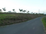 草刈後の風景