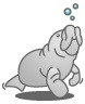 ジュゴン　Dugong