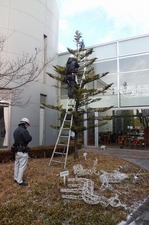 イルミネーションお片付け