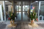 2013年　お正月　門松