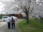 dayohanami-2.jpg