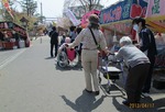 hanami2013-2.jpg