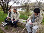 tuushohanami2013-4-F.jpg