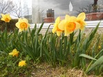 DSCN0323.jpg