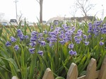 DSCN0324.jpg