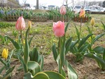 DSCN0326.jpg