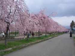 aizu2013-5-B.jpg