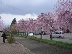 aizu2013-5-E.jpg