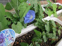 IMG_2664.jpg