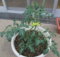 IMG_2671.jpg