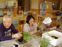 kokedama2013-6-A.jpg